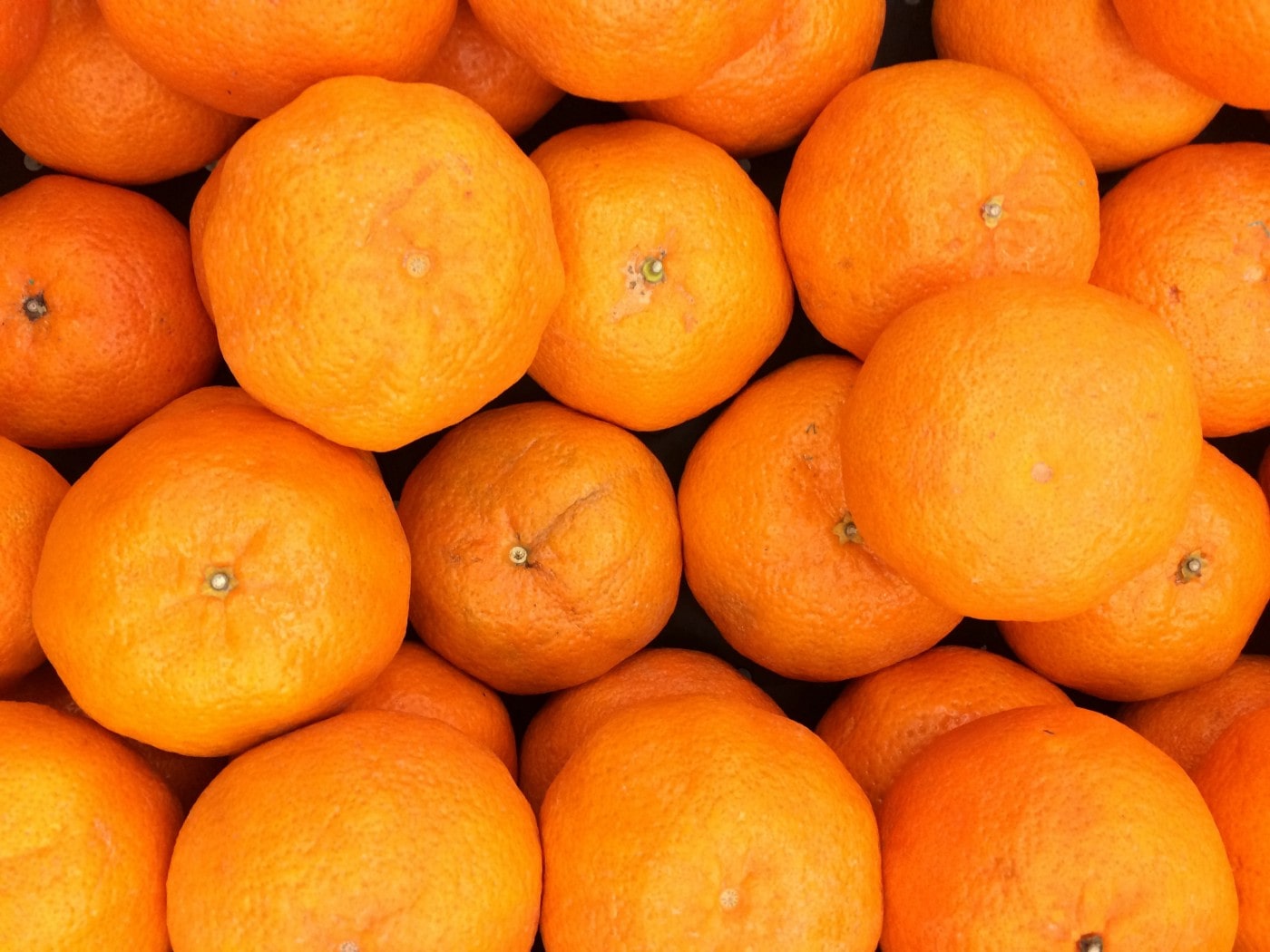 imagem ilustrativa de laranjas