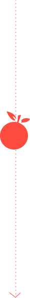 imagem com a logo da suflex e linha tracejadas